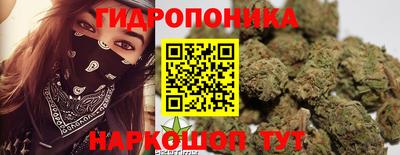 альфа пвп Гусев