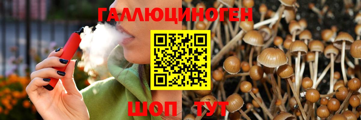 Псилоцибиновые грибы прущие грибы Мурманск